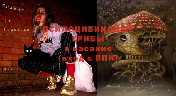 ECSTASY Абдулино