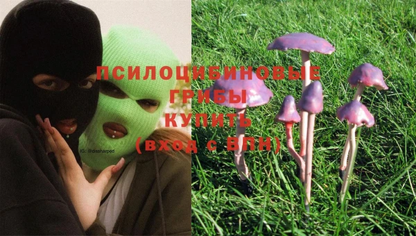 экстази Абаза
