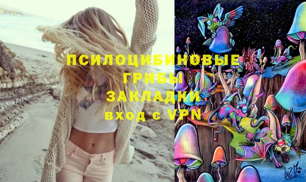 эйфоретик Абинск