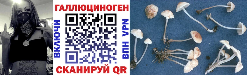 Псилоцибиновые грибы GOLDEN TEACHER  цена наркотик  MEGA как зайти  Кудымкар 